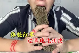 红军过草地的时候都吃树皮，树皮好吃吗？体验了一下受不了这味！
