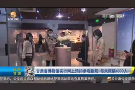 甘肃省博物馆实行网上预约参观新规 每天限额4300人