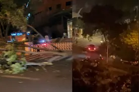 实拍北京9级大风：树被风吹倒 个别建筑出现停电 大风黄色预警中视频封面