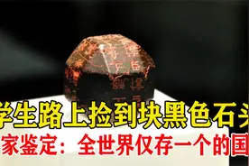 学生路上捡到块石头，拿回给专家一鉴定：全世界仅存一个的国宝！视频封面