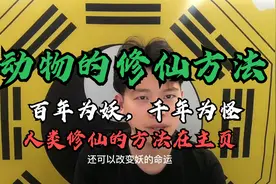 其实动物也是可以修仙的，动物修炼为妖，植物修炼为怪！视频封面