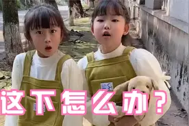 当你遇到危险的时候，千万不要慌张，用正确的方式逃脱危险视频封面