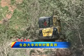 问政再问：生态大辛河何时露真容