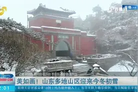 美翻！山东多地迎来今冬初雪，雪花飞舞，白茫茫一片宛若梦幻仙境