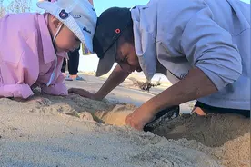 阿明带着老婆孩子去赶海，一路连抓十多只海货，煮粥吃香甜可口视频封面