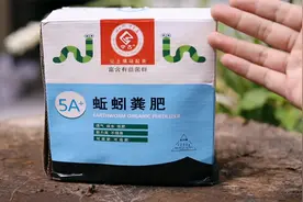 养花种菜用什么肥？园艺师教你，用蚯蚓粪肥，能快速被植物所吸收视频封面