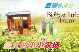 现代版桃花源，人与自然和谐共生！高分纪录片《最大的小小农场》视频封面