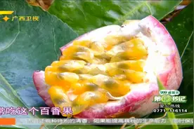 扶贫致富“第三声部”——优质百香果种植、排毒养颜的百香果汁！视频封面
