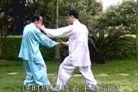尚派形意拳安身炮对练 李宏老师讲解视频封面