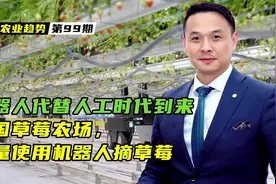 机器人代替人工时代到来：美国草莓农场，大量使用机器人摘草莓视频封面