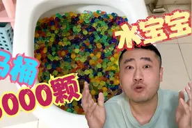 把6000颗水宝宝倒进马桶里，真的能冲掉？没想到结果这么神奇