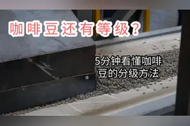 咖啡豆还有等级？一次看懂各国咖啡豆的分级策略助你选好豆视频封面