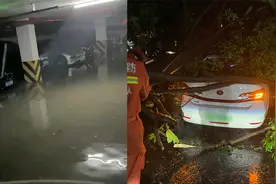 杭州遭暴雨突袭：大风刮倒大树压住汽车，有小区车库被淹视频封面