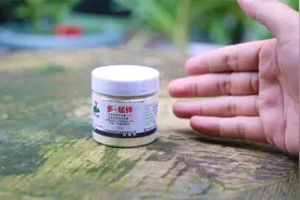 养花生病了怎么办？园艺师教你，用多锰锌来解决，什么花卉都通用