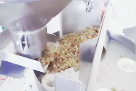 颗粒类果干包装解决方案视频封面