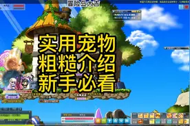 冒险岛宠物介绍及其推荐