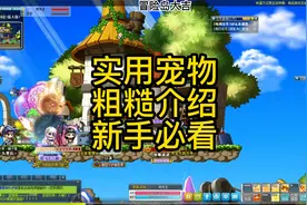冒险岛宠物介绍及其推荐视频封面