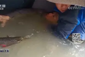 水泥罐车冲出护栏倒扣坠河！被压司机口鼻正被河水浸没视频封面