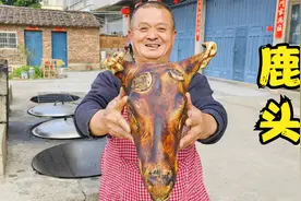 230买个大鹿头，丢入铁锅卤2小时，皮肉软烂，太香了视频封面