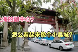 上海真如镇，距离市区这么近，还是副中心，怎么就像个小县城呢？视频封面