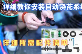 详细教你家庭养花如何安装一套自动浇花滴灌系统？附详细所需配件视频封面
