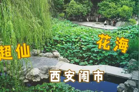 这座西安历史最悠久的公园，藏着夏天最美的花海！景美还免费视频封面