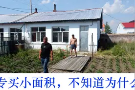 台湾人东北买房，3万元一套带小院，就买小面积的，不知干什么视频封面