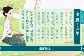 诗经-小雅《白华》，是一首抛弃之女的哀怨诗视频封面