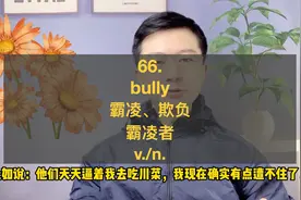 66. bully, 霸凌、欺负视频封面