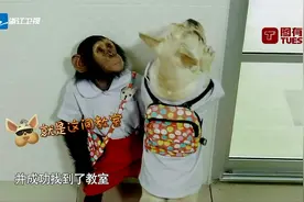 神奇动物在哪里：迟到的米亚冬冬新生报到，小朋友唱歌欢迎仪式视频封面
