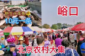 北京农村大集人山人海，密云野生水库鱼才10元一条，咋这便宜？视频封面
