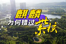 南京麒麟为何错失紫东核心区？视频封面
