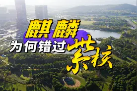 南京麒麟为何错失紫东核心区？视频封面