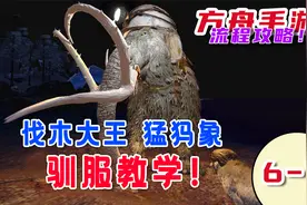 6-7 方舟手游-伐木之王 猛犸象驯服教学 有什么用?视频封面