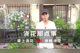 早上浇花好，还是傍晚浇花好？聊聊你不知道的浇水冷知识视频封面