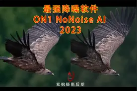 先降噪还是锐化？摄影后期最难问题已解决！ON1 降噪插件 2023版