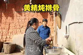 黄精吃了好处多！老爸才出院，幺妈挖一窝十二年的黄精炖排骨吃