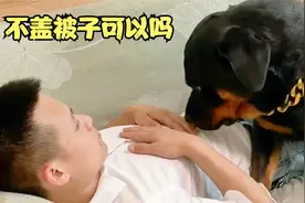 狗狗对待男女主人差别太大，好像离不开男主人一样视频封面