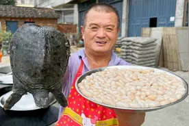 4斤鸡腰子6只甲鱼，丢入铁锅炖1小时，大补之物名不虚传！视频封面