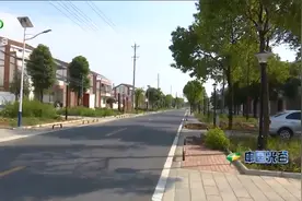 新洲区加快推进“五路八桥”项目建设视频封面