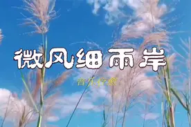 调养五脏 |平和气血 净心安神《微风细雨岸》五音疗疾能量养生乐