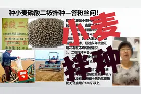 什么是二铵拌种？磷酸二铵如何做小麦种肥？混的匀吗？烧苗吗？