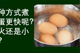 常识问答：哪种方式煮鸡蛋更快呢，大火还是小火？视频封面