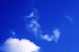 模拟统计和统计软件01视频封面