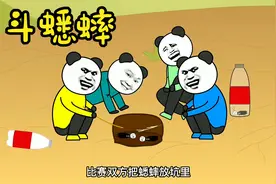 小时候玩斗蟋蟀，在课桌抠出两个洞当斗蟀场视频封面