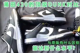 Nike最火Dunk熊猫对比测评，420可以冲吗？全网最细测评！全干货视频封面