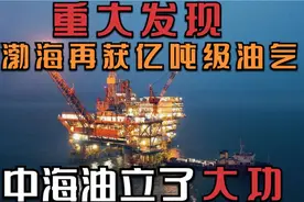 渤海发现1亿吨大油田，可供100万辆汽车跑20多年，印度羡慕了视频封面