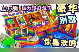 磁力球玩具：用上万颗磁力球为仓鼠打造的迷你豪华住宅，你喜欢吗视频封面