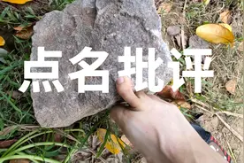 中国外来入侵物种名单，你见过多少种？靠吃来解决？视频封面