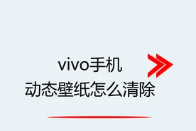 vivo手机动态壁纸怎么清除